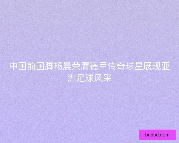 中国前国脚杨晨荣膺德甲传奇球星展现亚洲足球风采