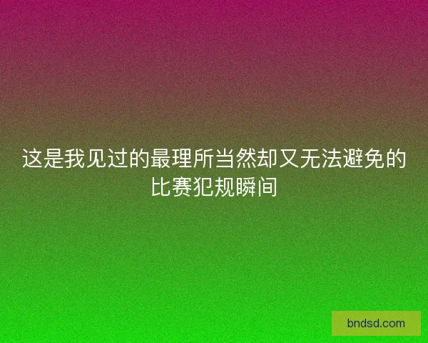 这是我见过的最理所当然却又无法避免的比赛犯规瞬间